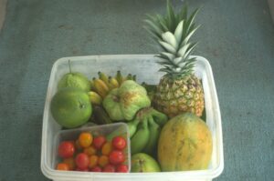 Large Organic Fruit Box